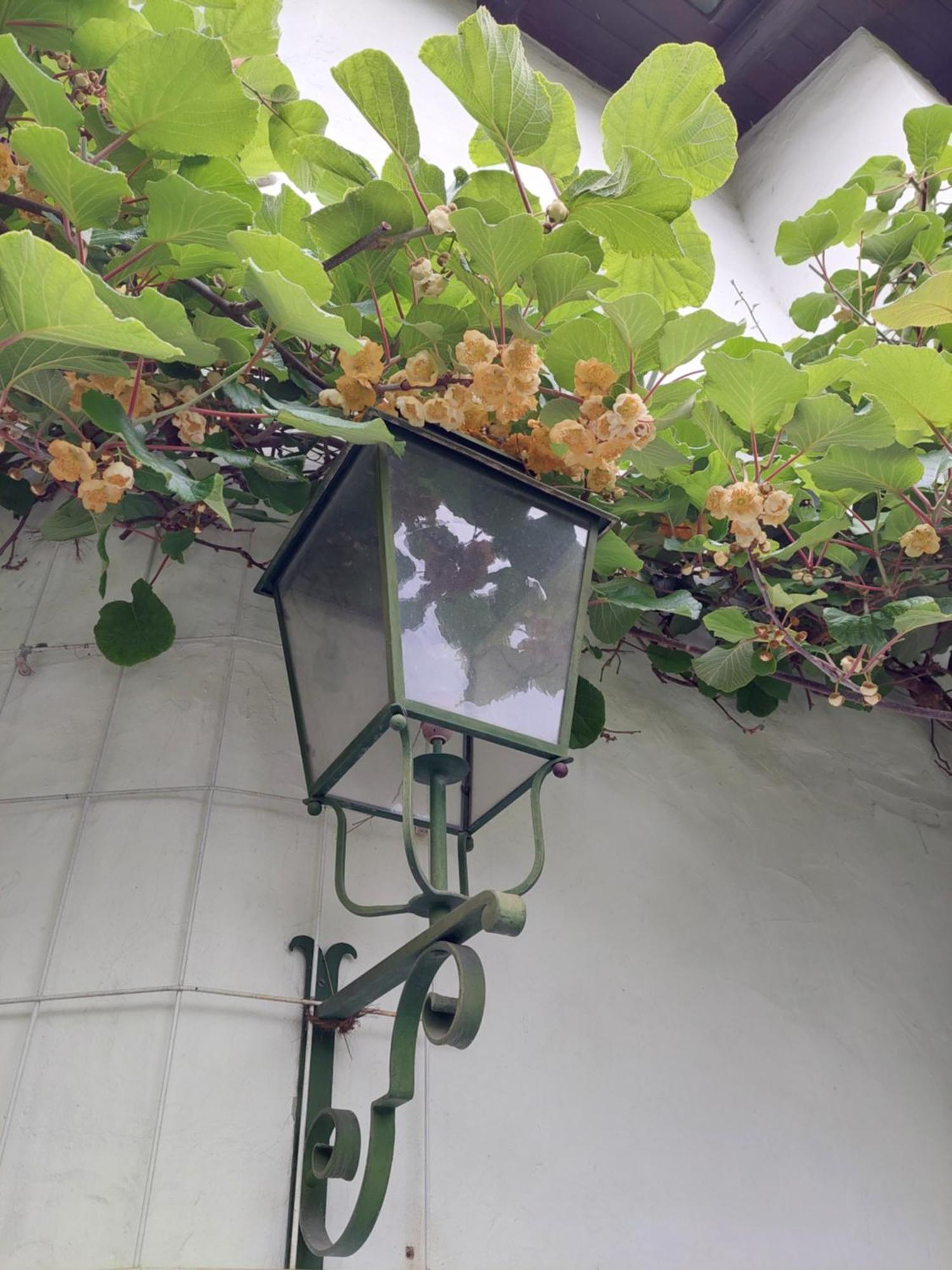 Auf Dem Regenbogen Apartment Morcote Ngoại thất bức ảnh